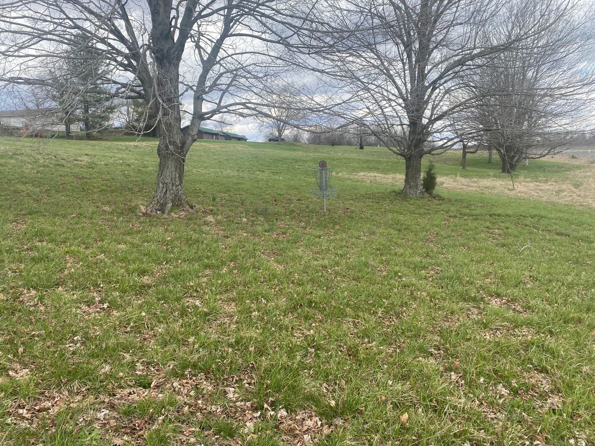 Hole 11 Basket