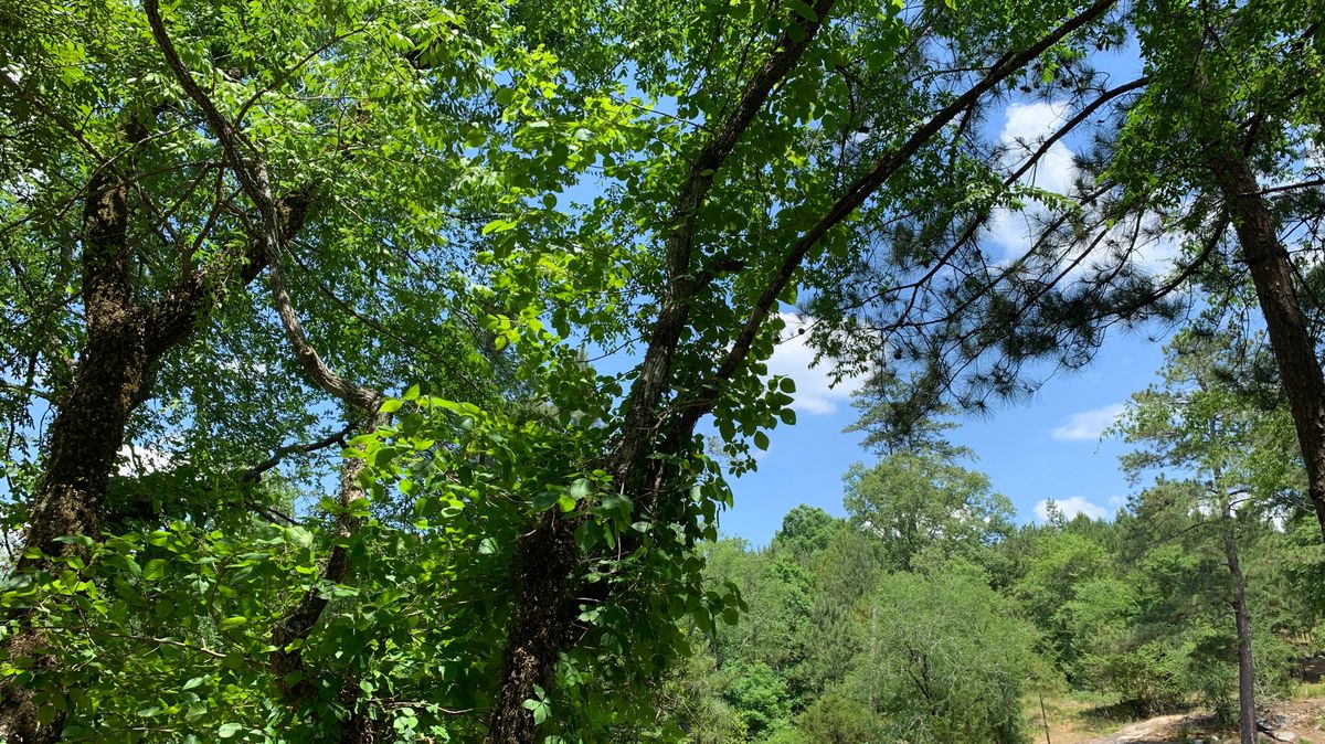 Hole 4