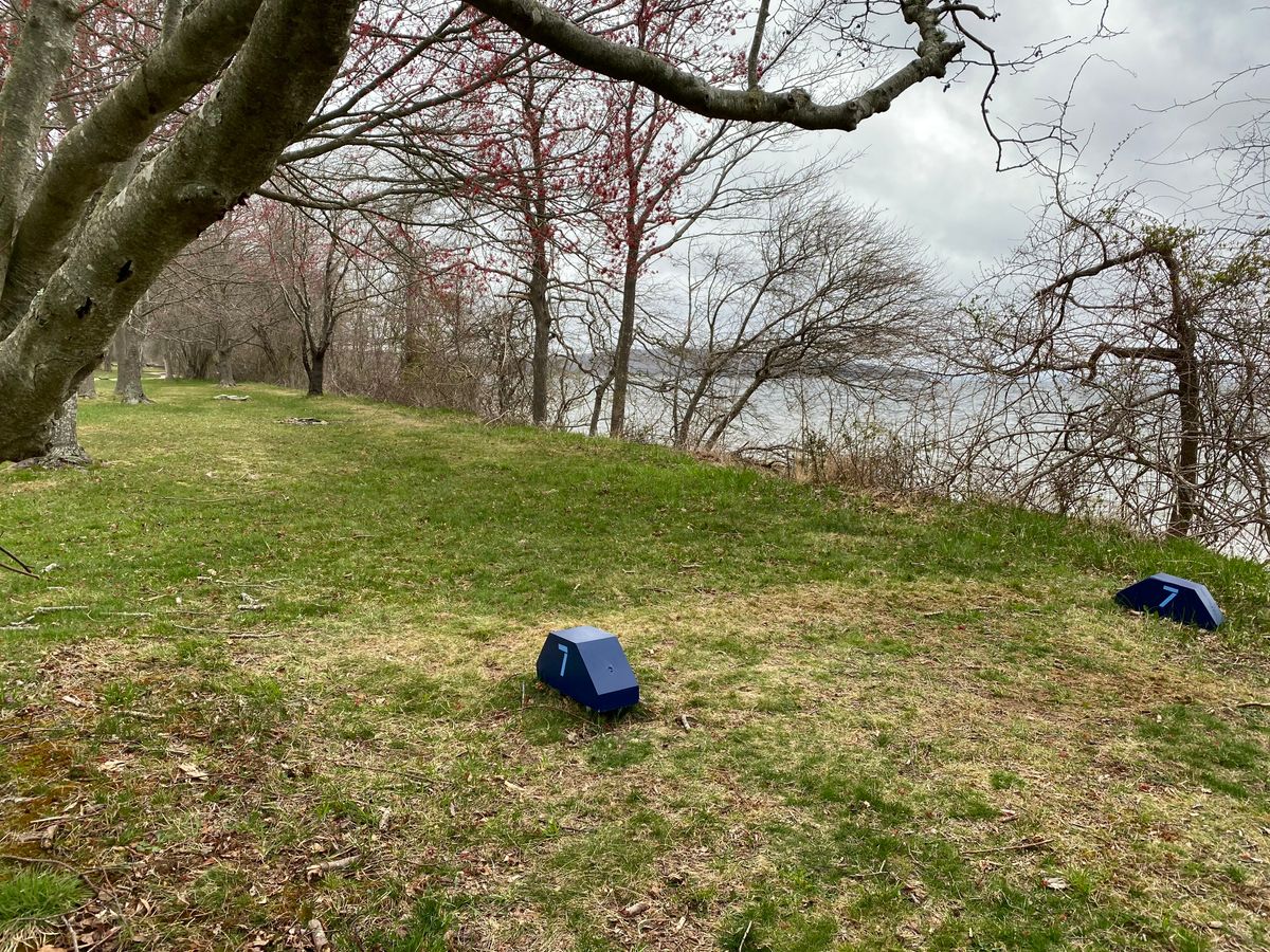 Hole 7 Tee