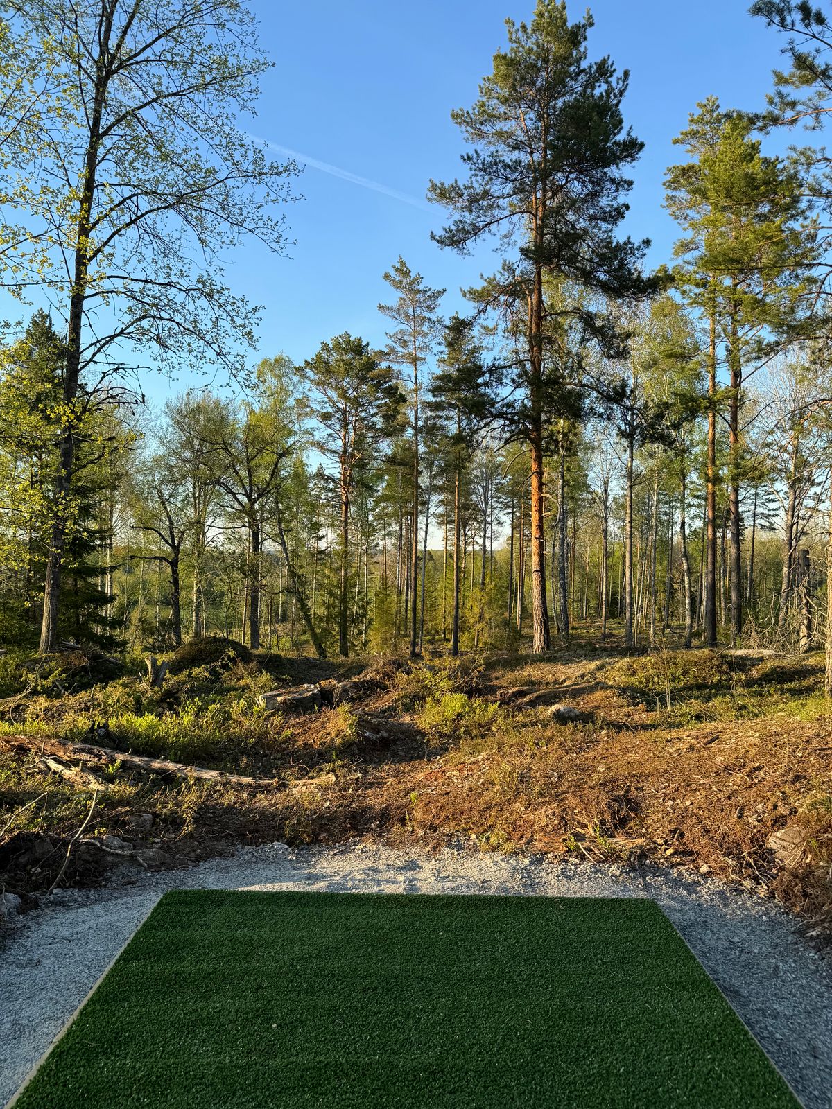 Tee hole 5