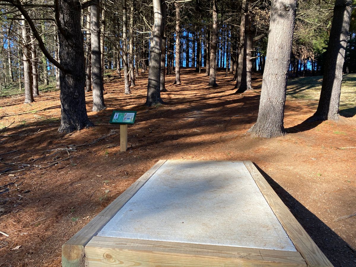 Tee on hole 2