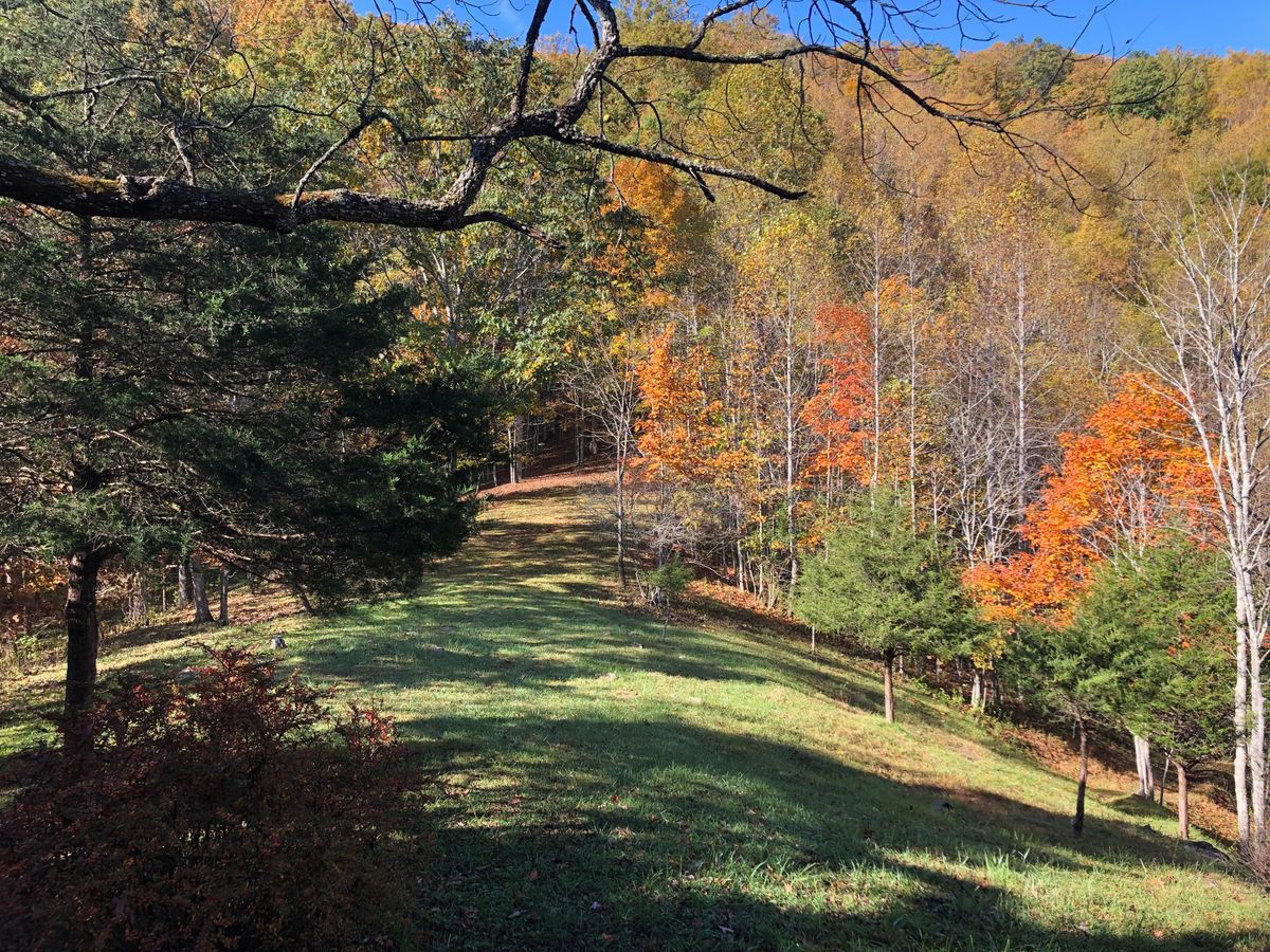 Hole 7 fall ‘23