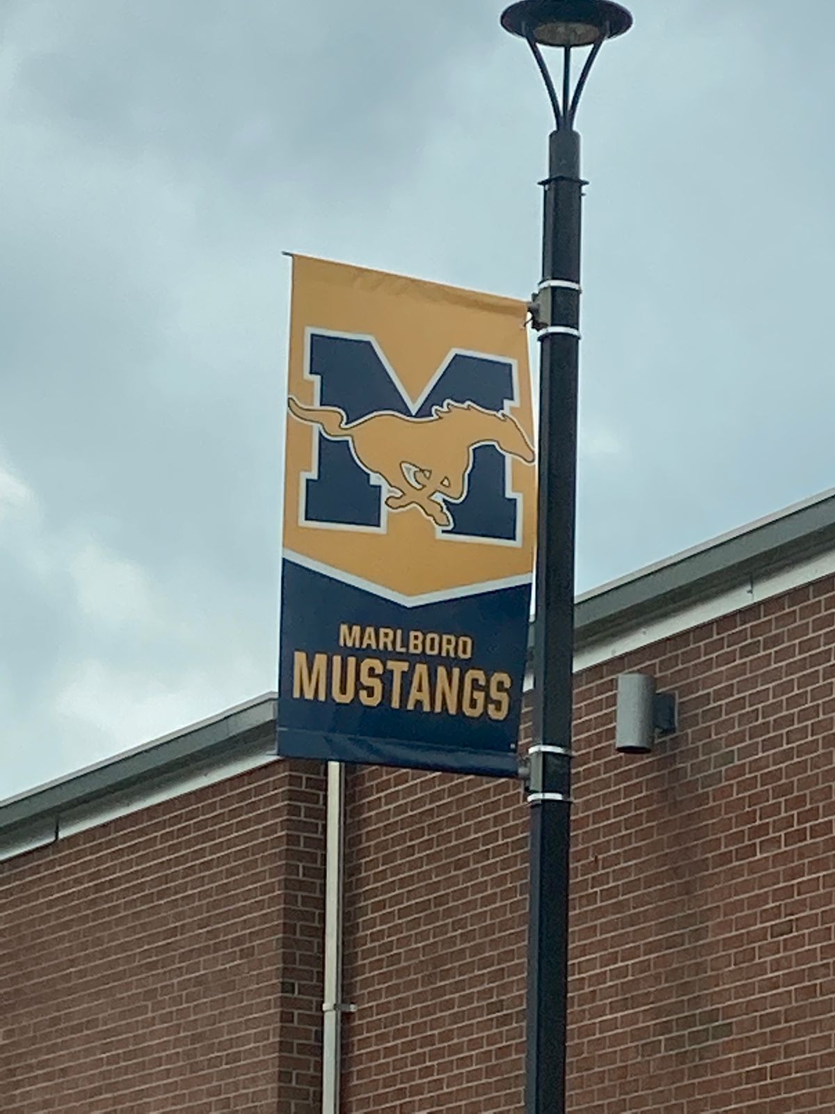 Go Mustangs!