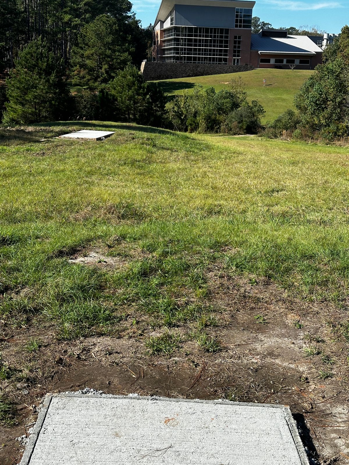Hole 3 Gold and Blue