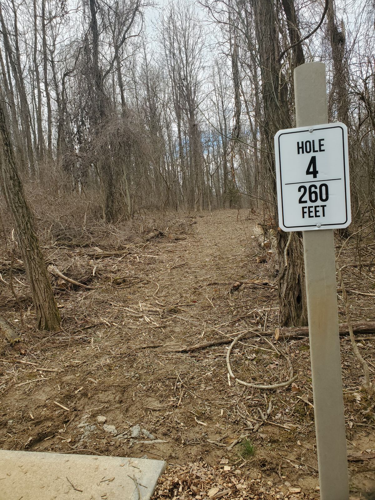 Hole 4 260ft