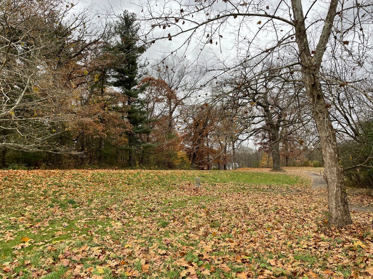 Hole 15 basket