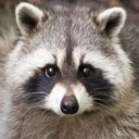 User avatar image