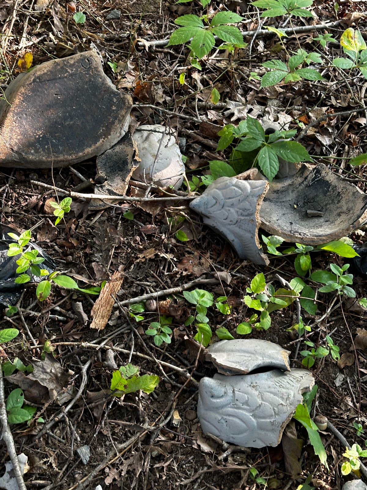 Bummer someone broke this on hole 4.