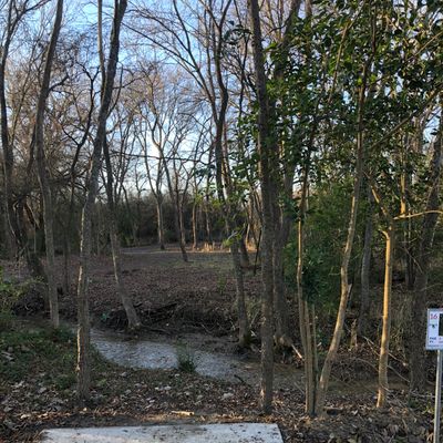 #16 with the creek full.