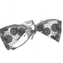 User avatar image