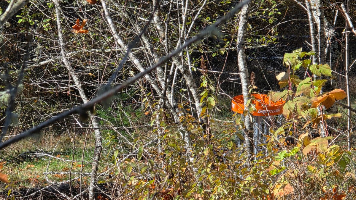 Looking down at the 18th basket from the #1 teepad.