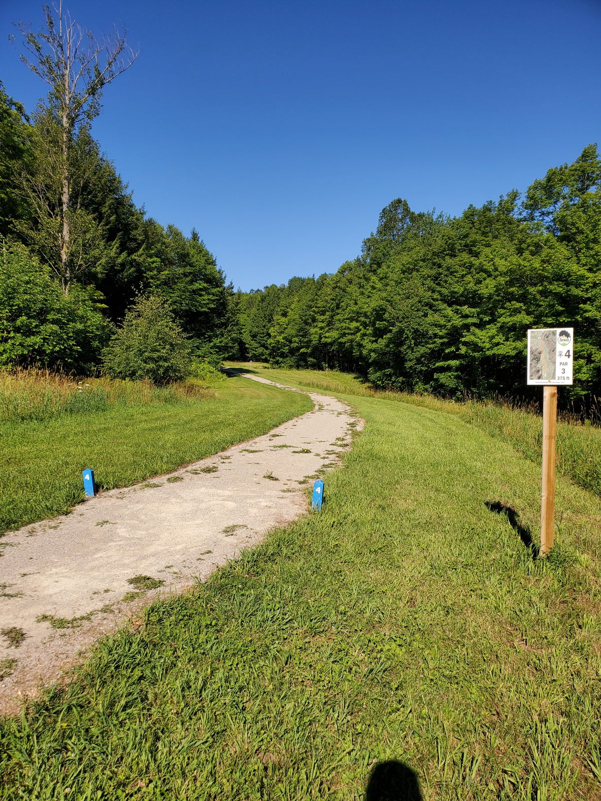 Hole 4