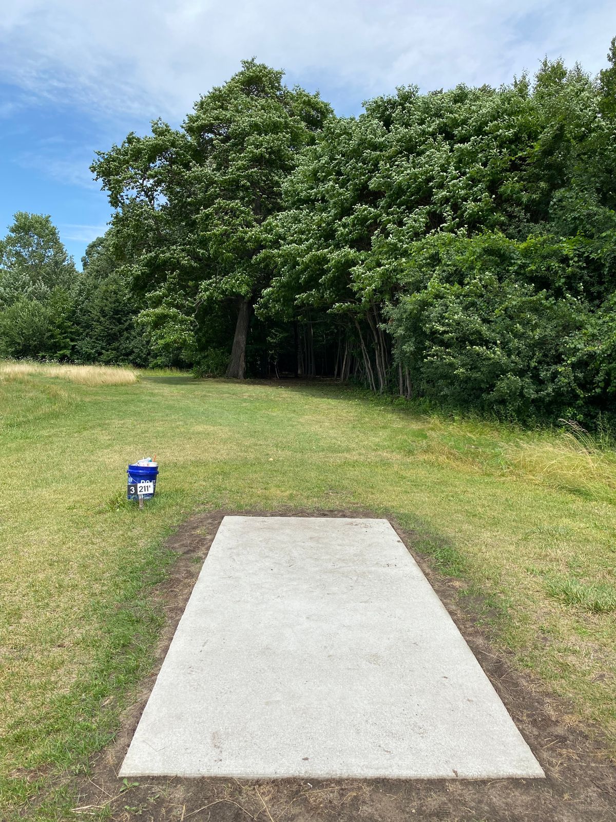 Hole #3 Pro tee pad
