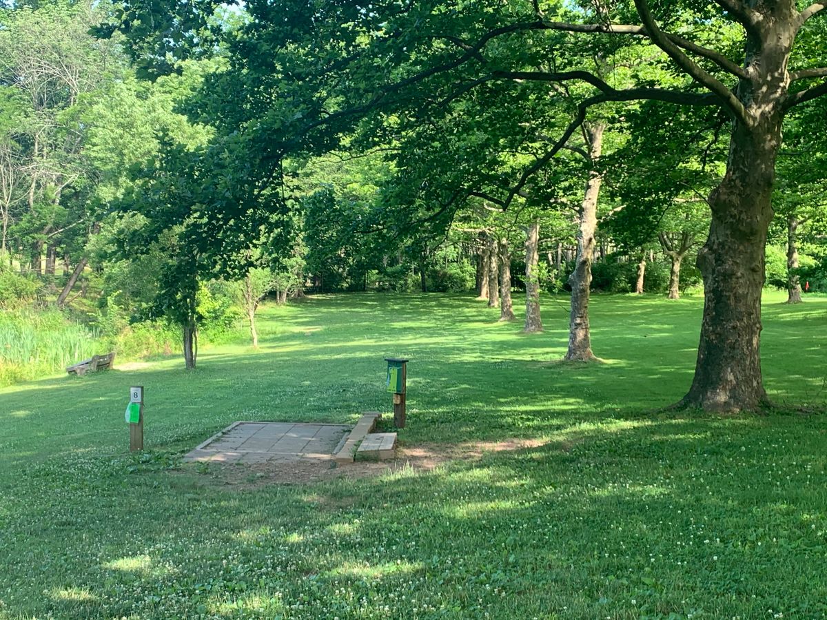 Hole 8 looking down the fairway