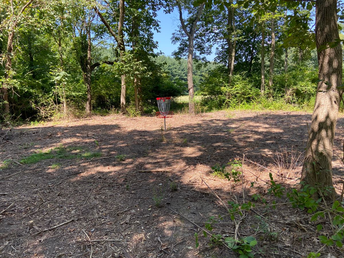Hole 4 basket