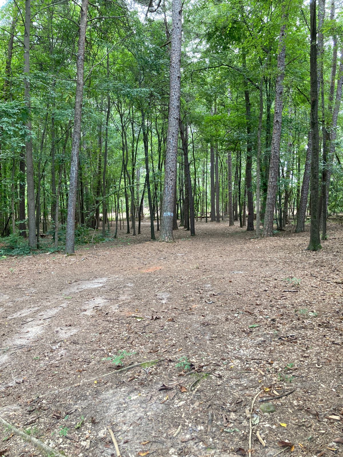 Hole 3 - long, wider fairway on right, short fairway on far left of screen about half as wide.