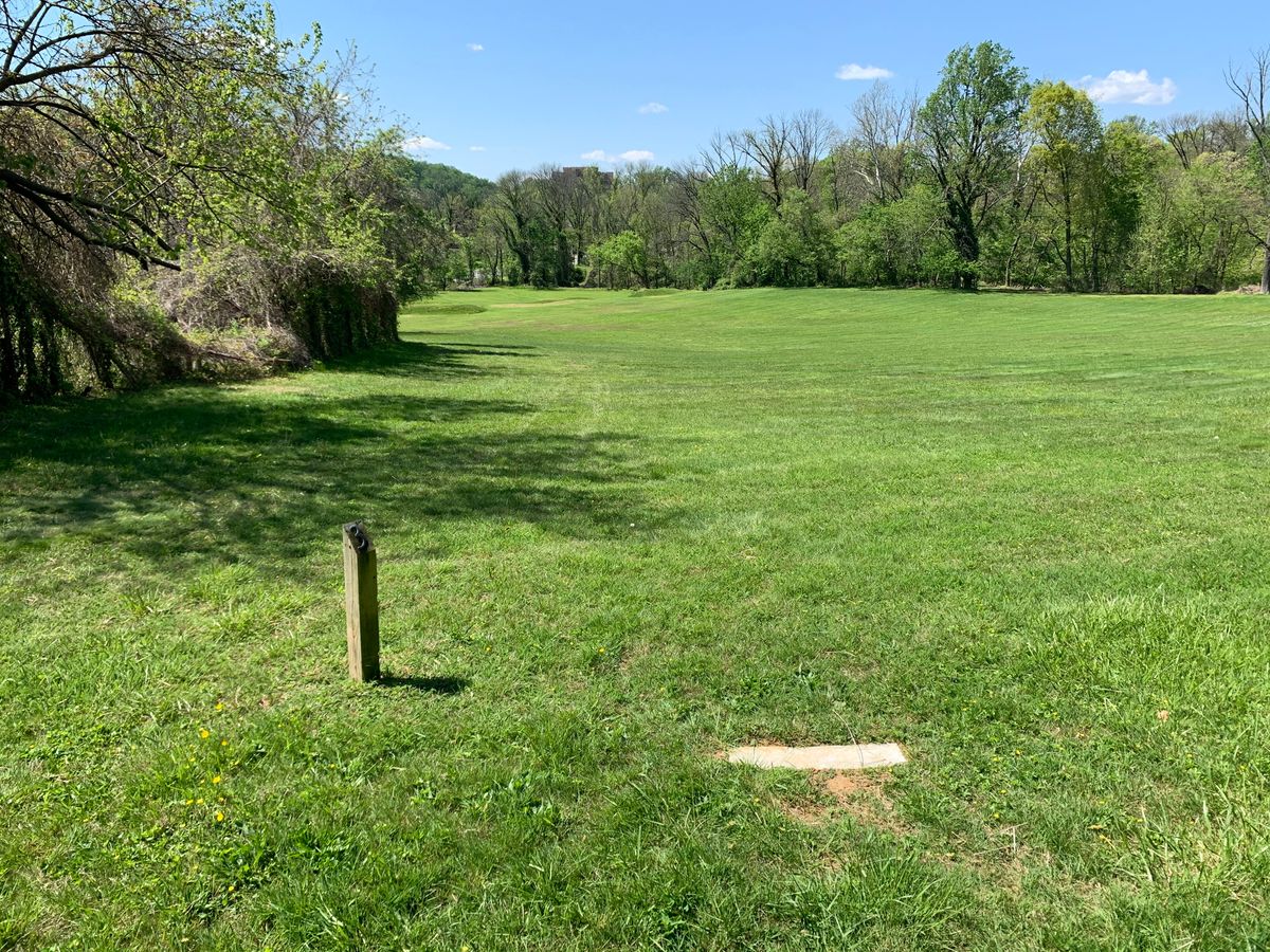 Hole 3 tee. Par 4. Basket is down hill and to the left. Fence is out of bounds.