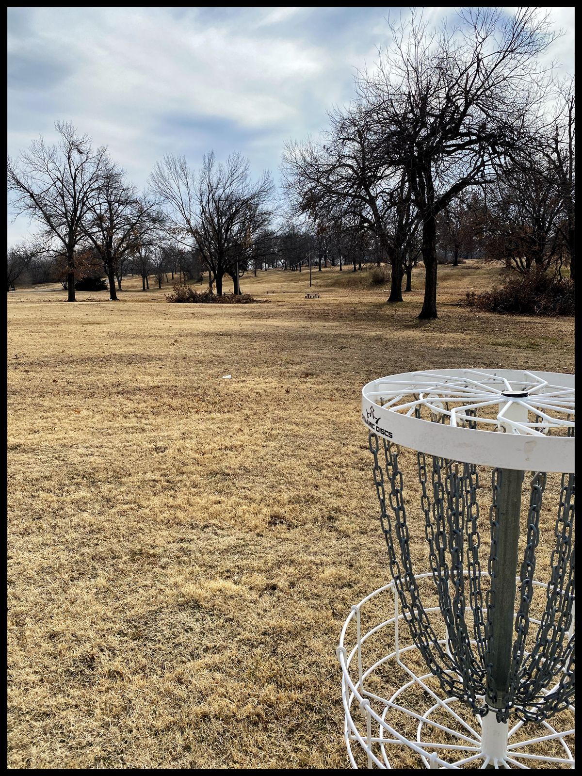 #12 green