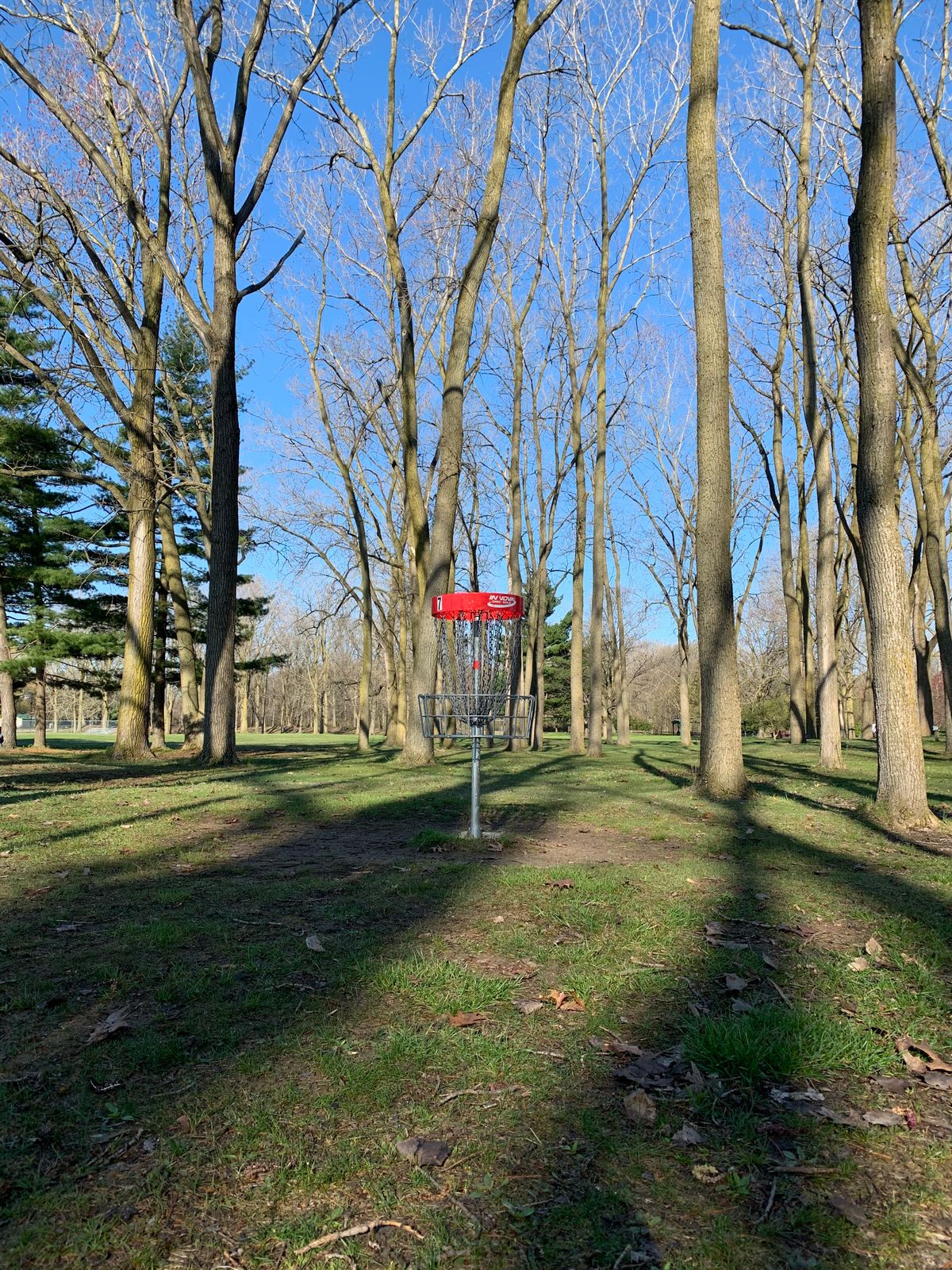 Hole 7