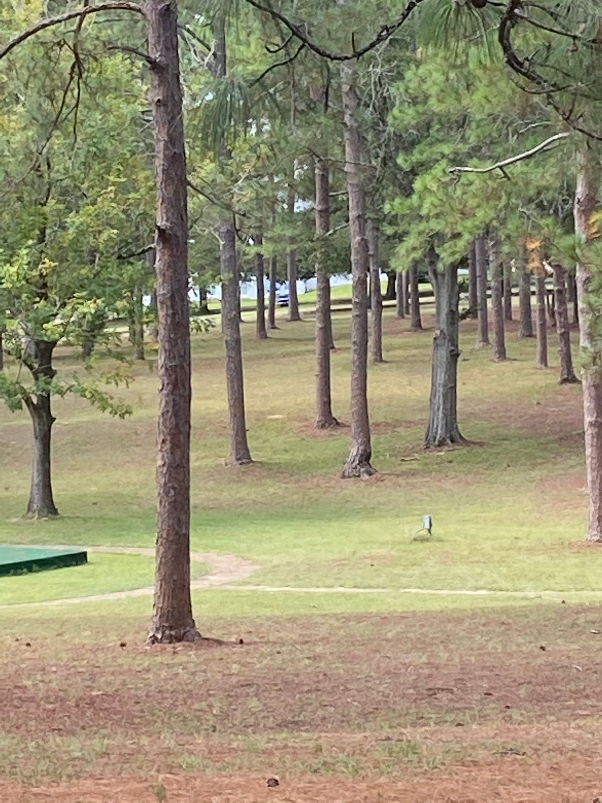 Hole 17