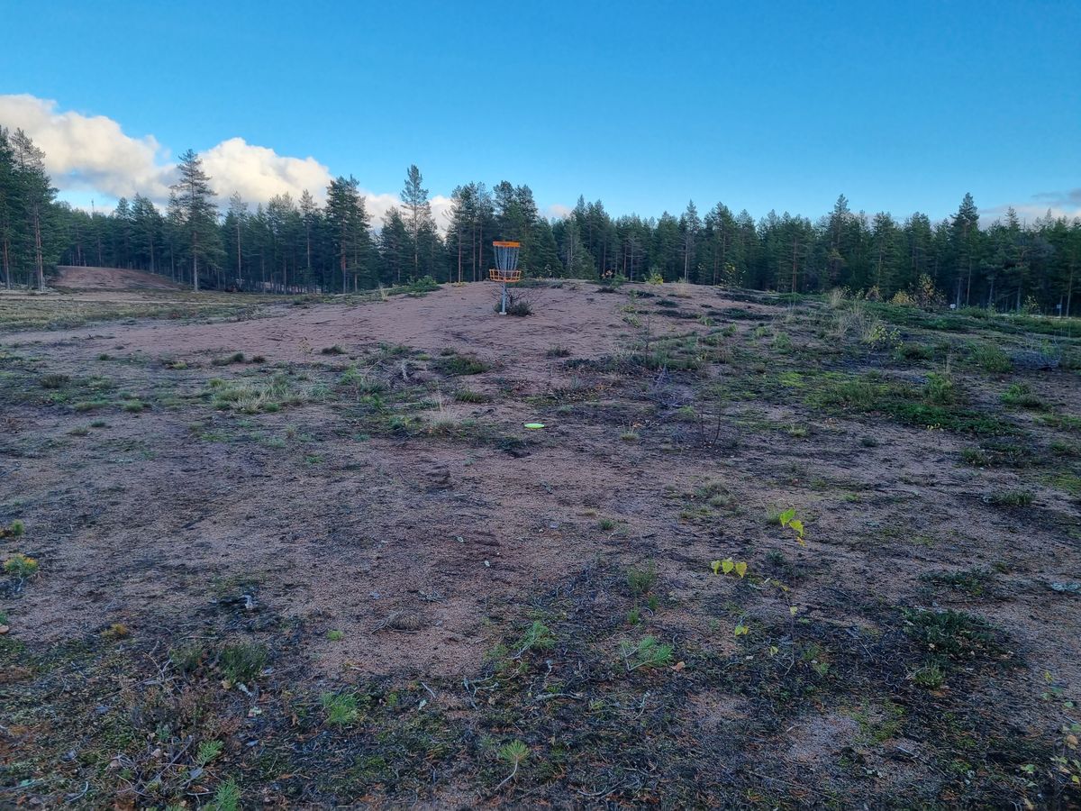 Korinäkymä