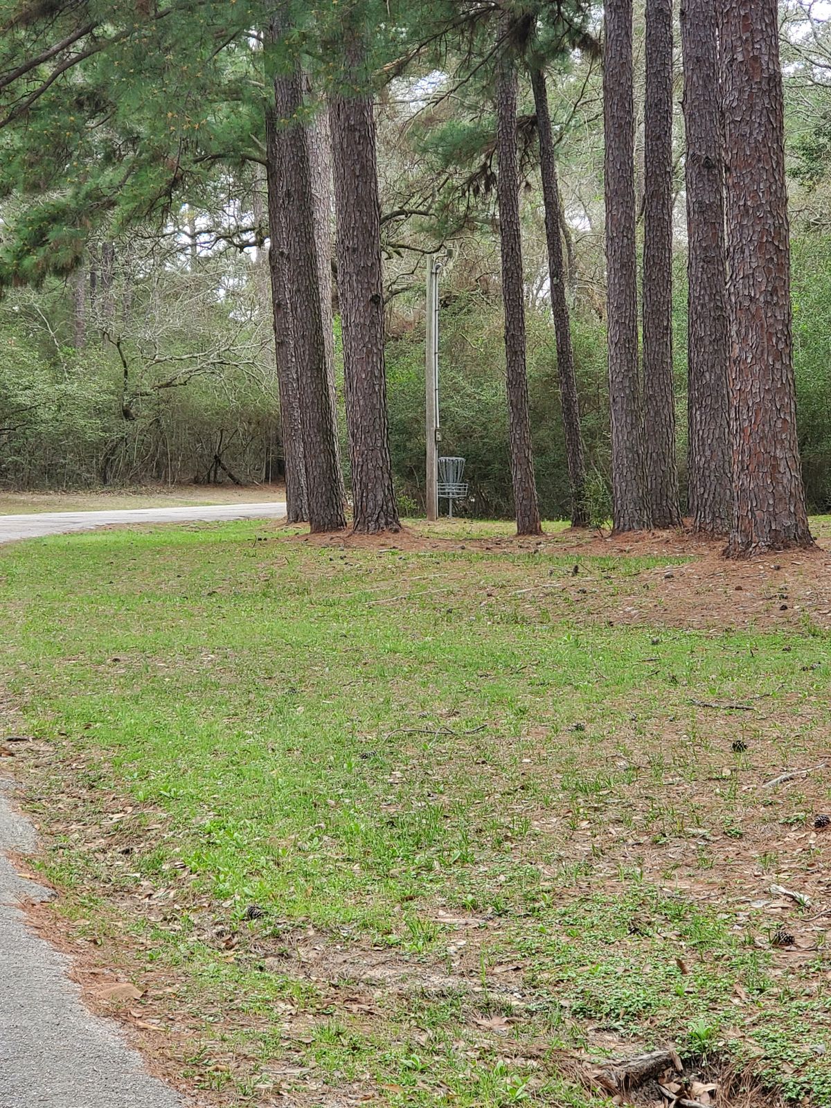 Hole 9 approach