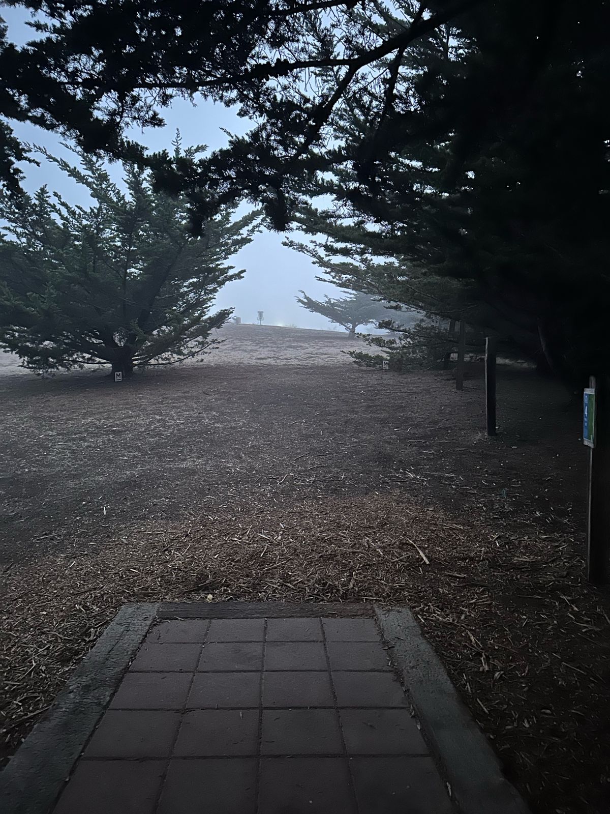 Tee pad 4