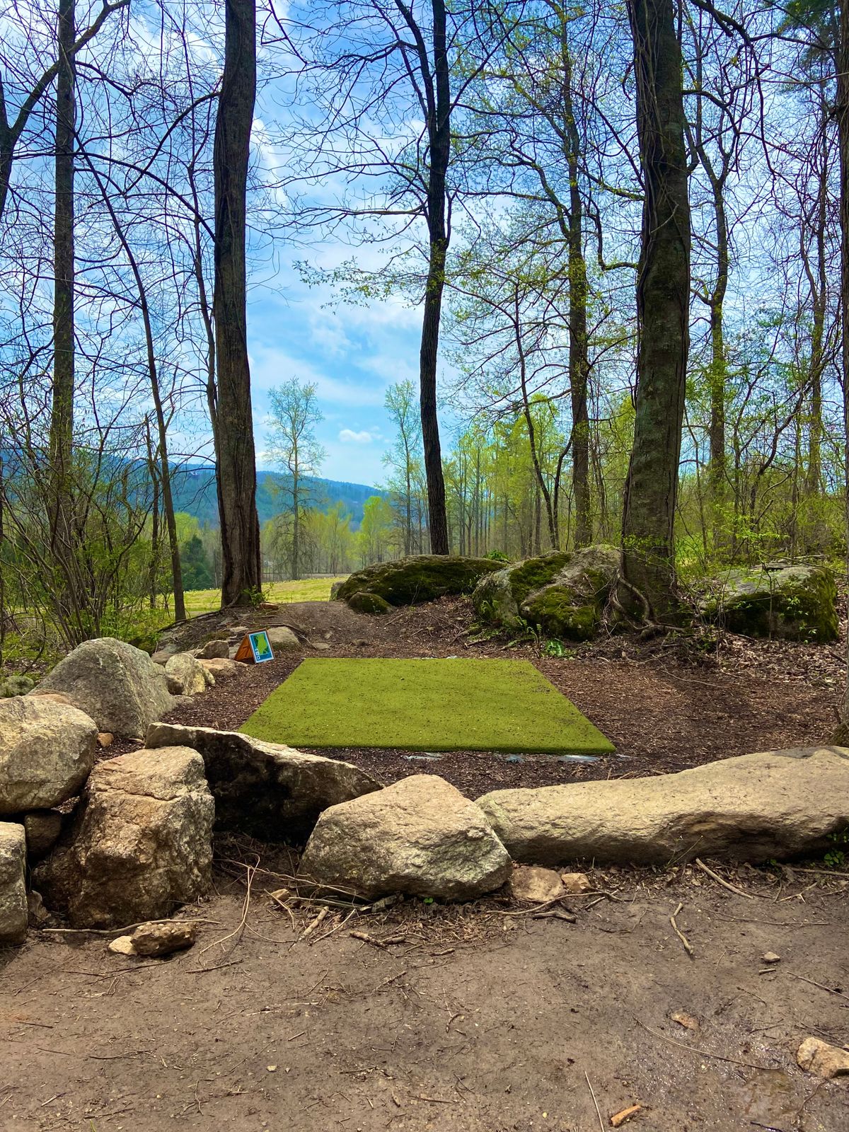 Tee of hole 8