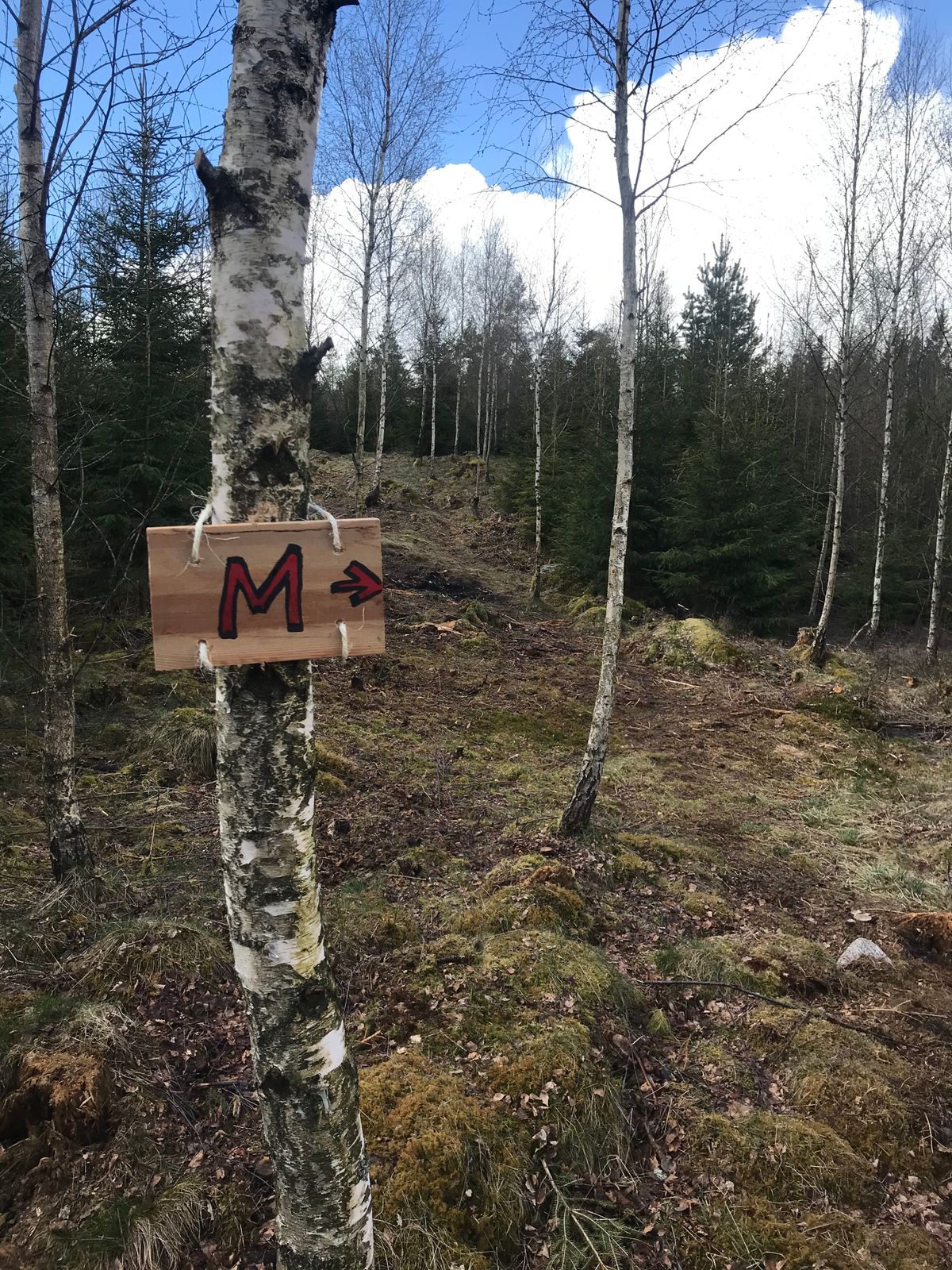 Hål 3 Mandatory
