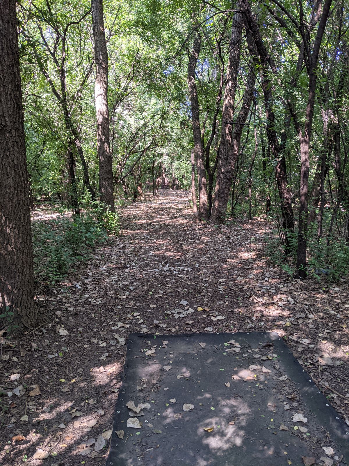 Hole #17