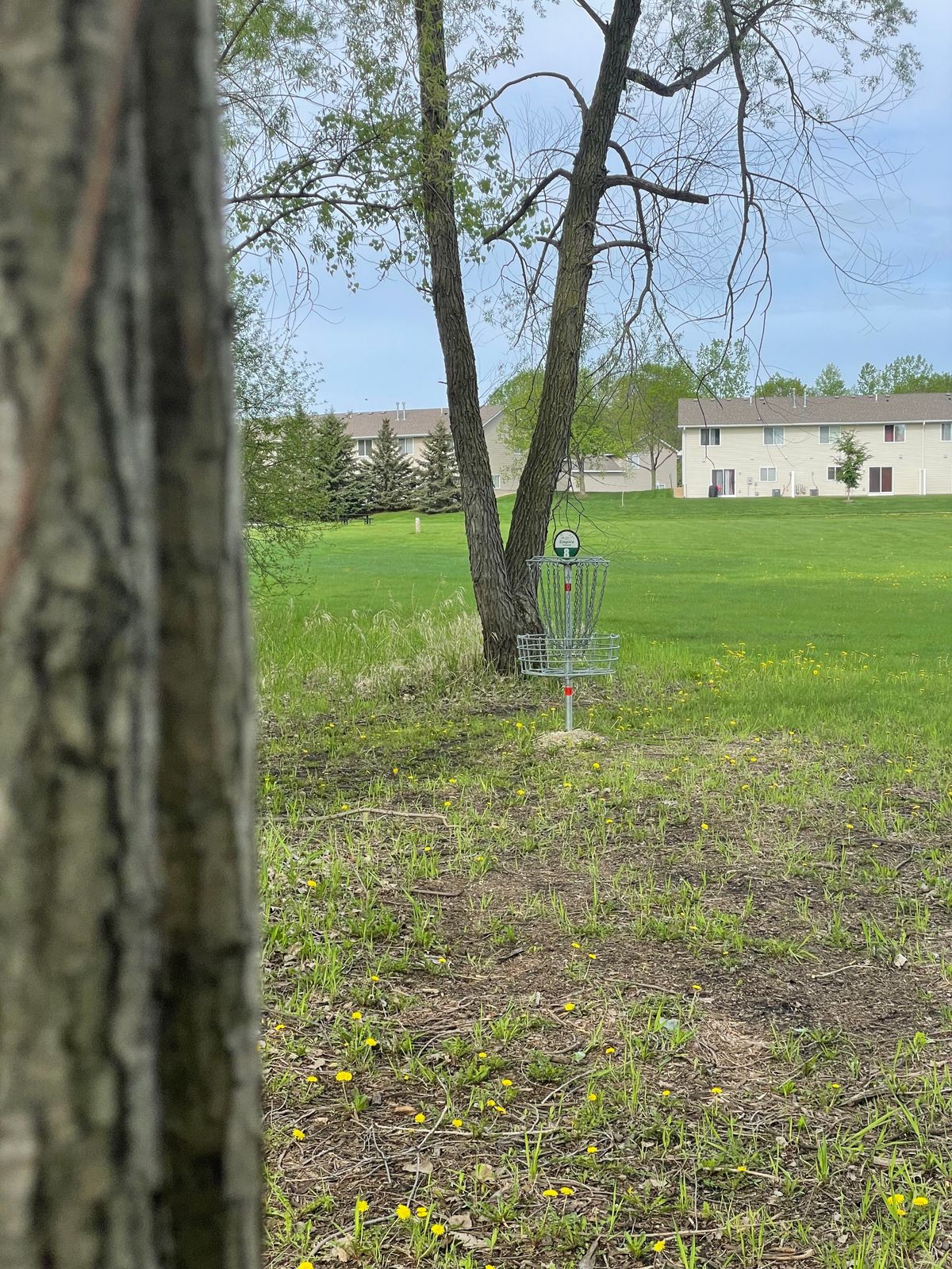 Hole 8 basket