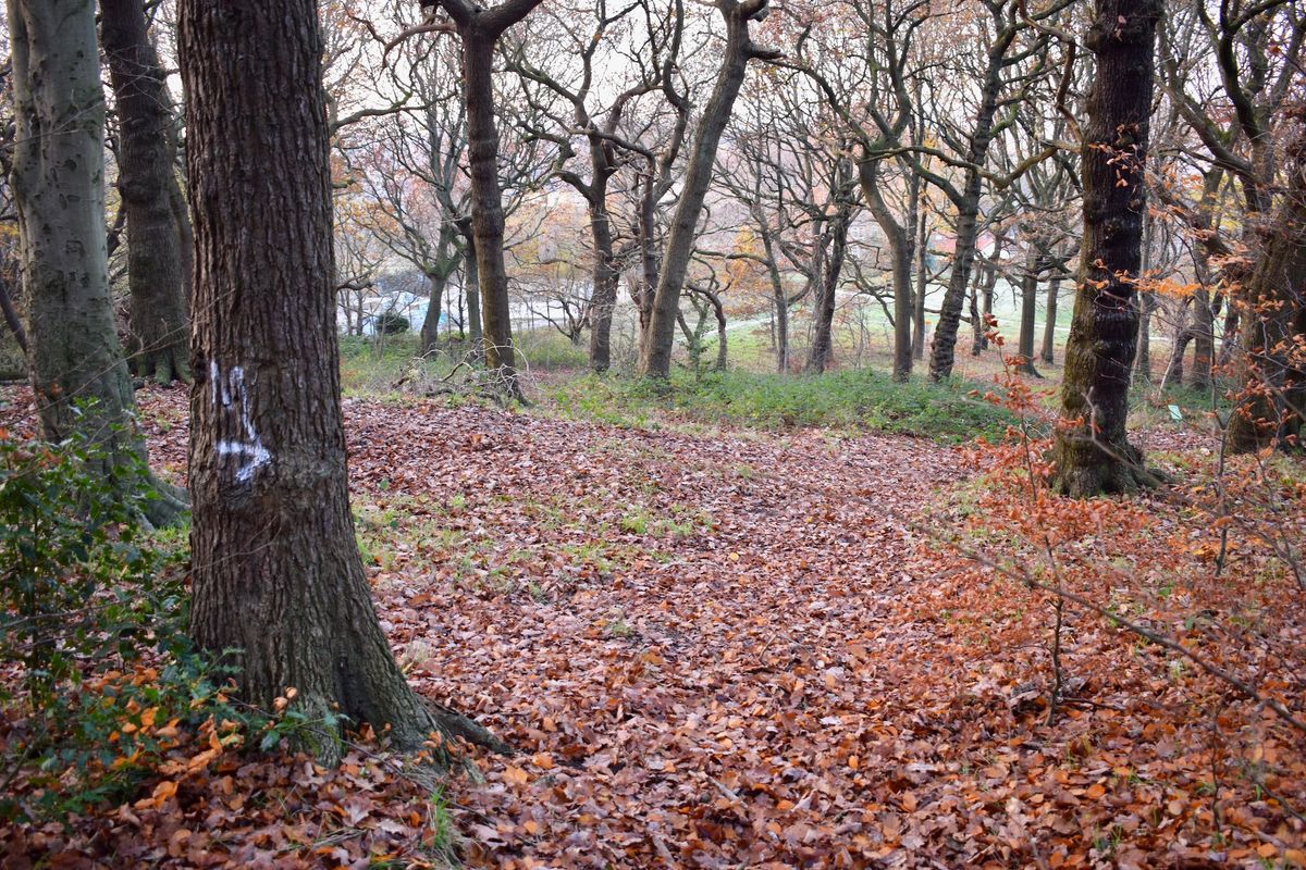 Four Stumps Hole 8 Mandatory  Right of tree before the path.