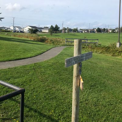 Hole 7 tees by Coal trollies