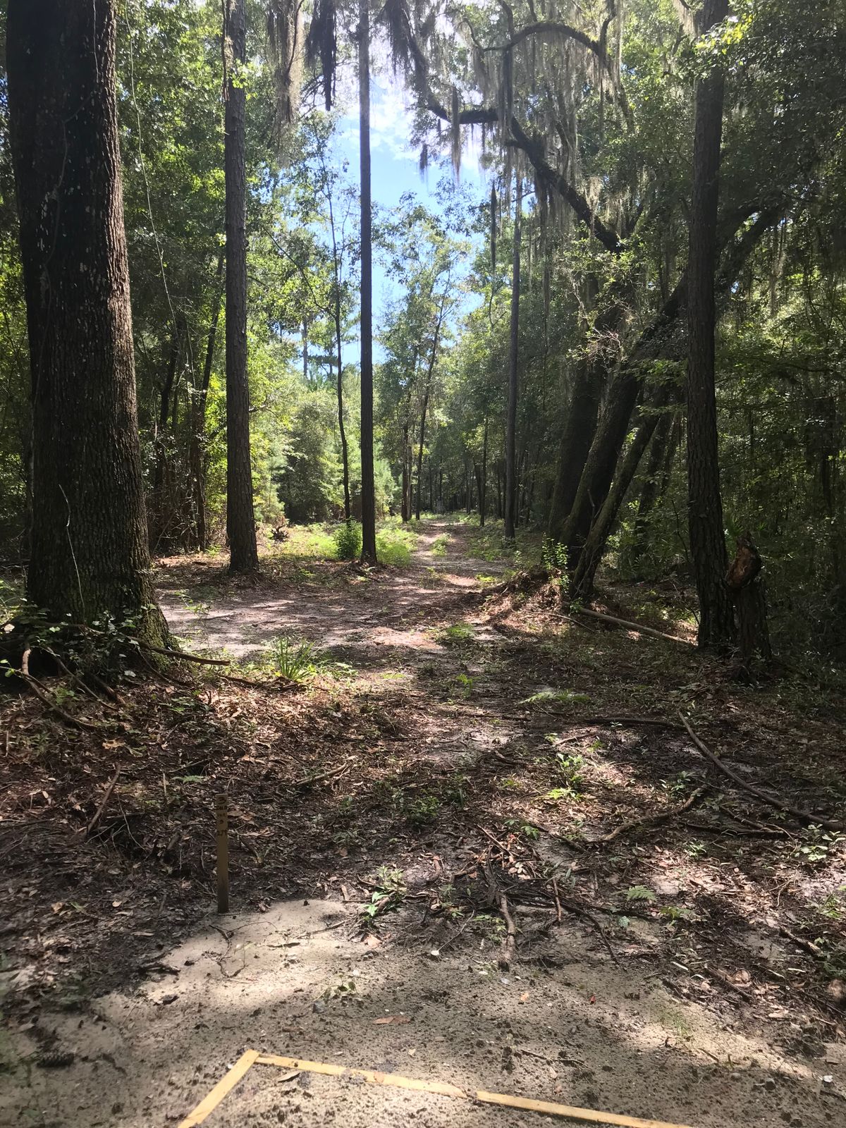 Hole 3