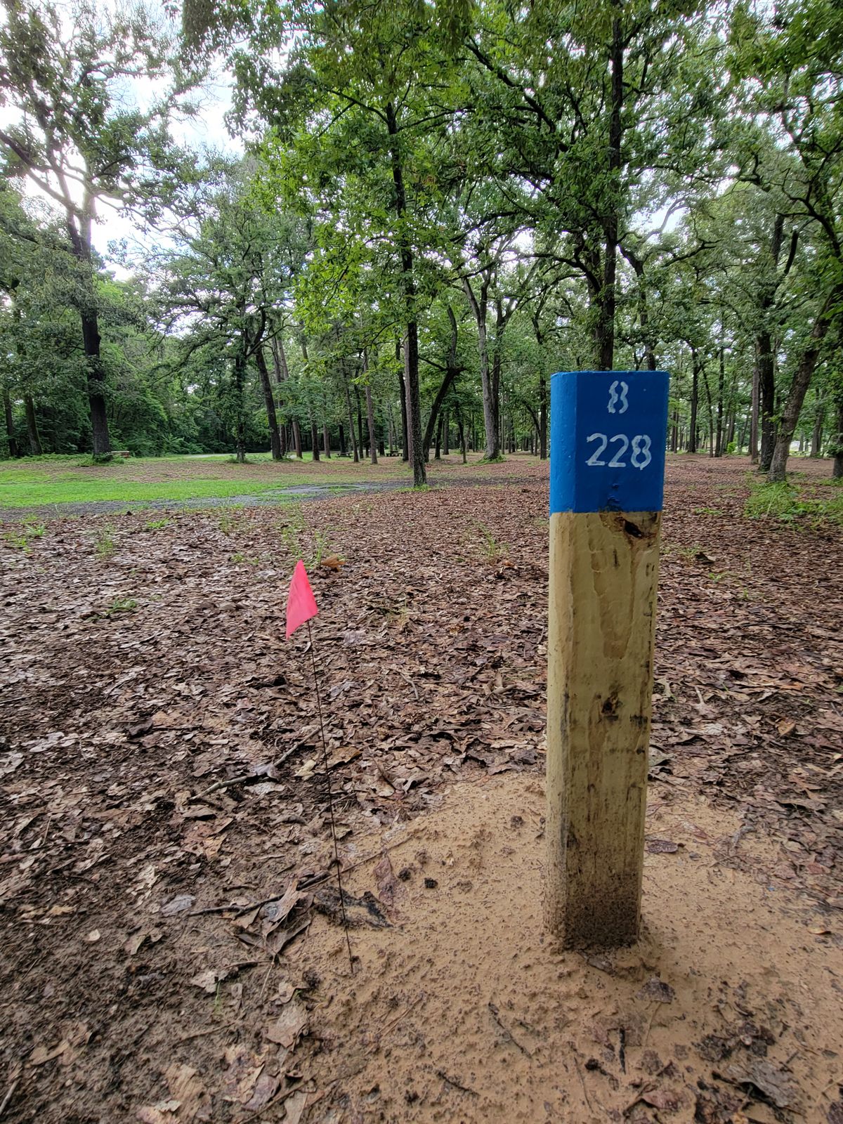 8th tee