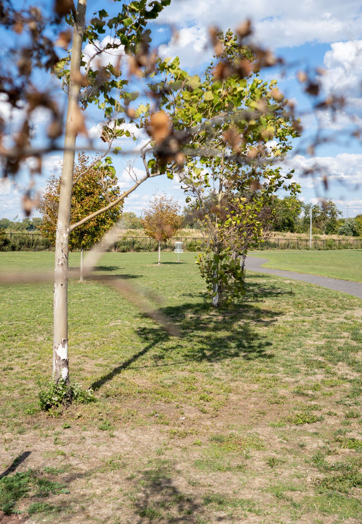 Tee of Hole 7. 3 Options here: Straight through the tunnel, Hyzer over the path, or righty forehand