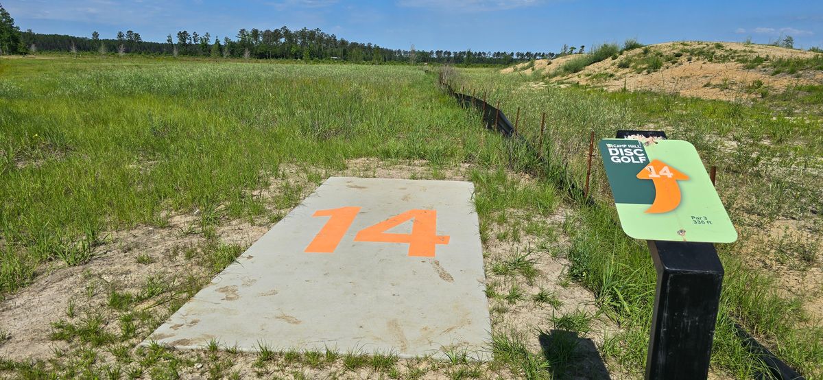 Hole 14