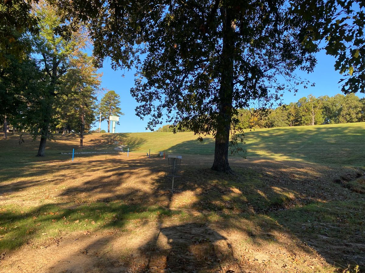 Hole 5 green