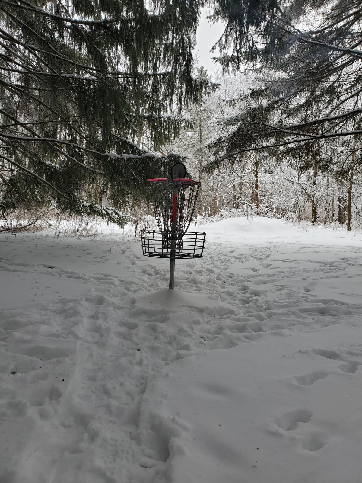 Beautiful day for some winter disc