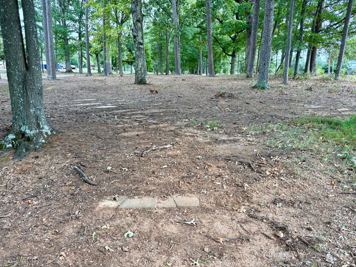 Hole 3 tee