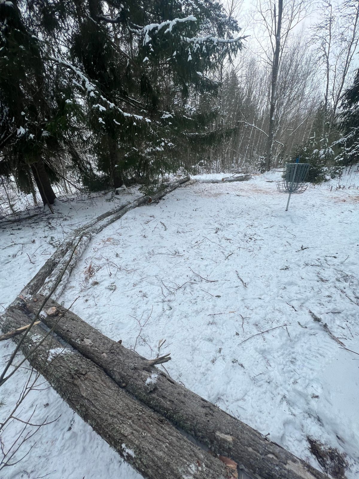 Hål 3 nytt backstop