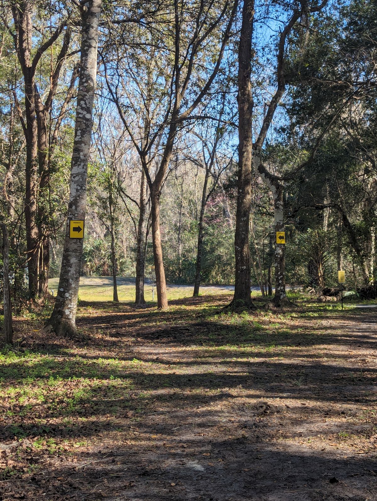 Hole 19 Double Mando