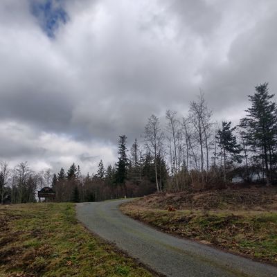 Hole 8