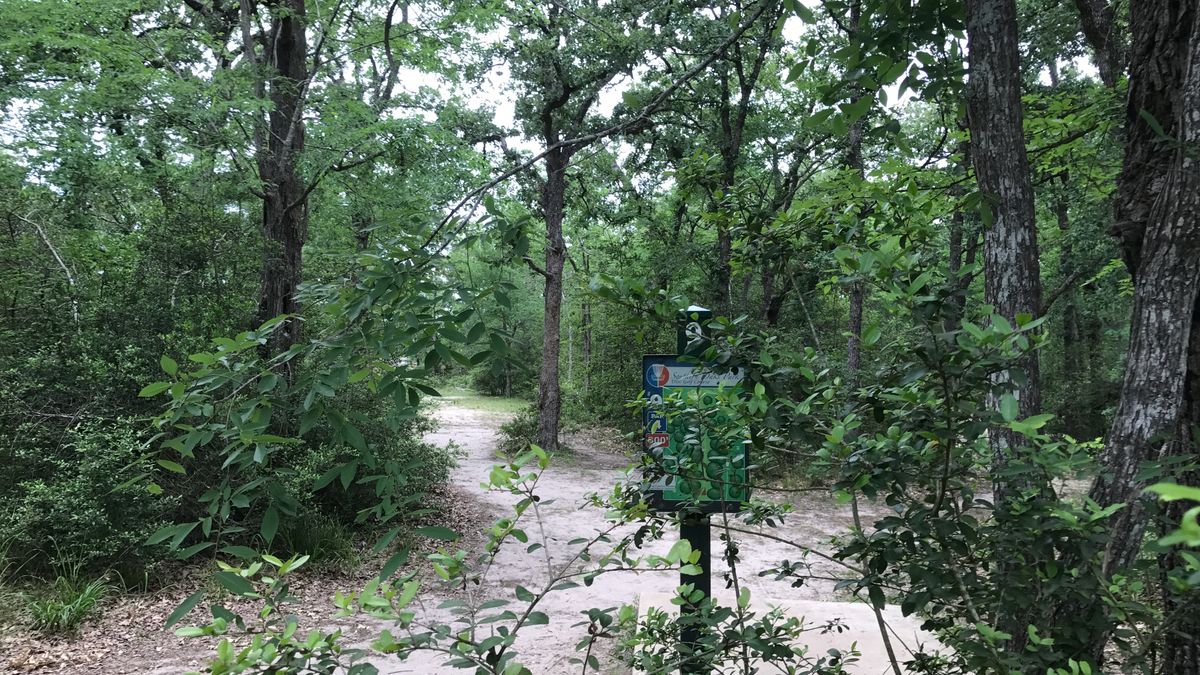 Hole 9