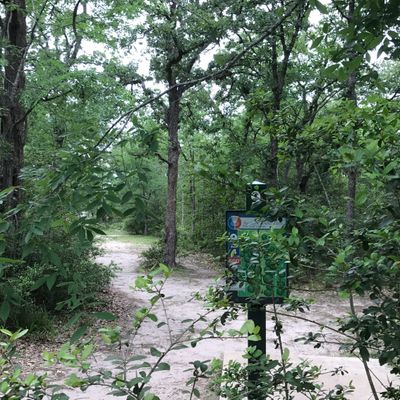 Hole 9