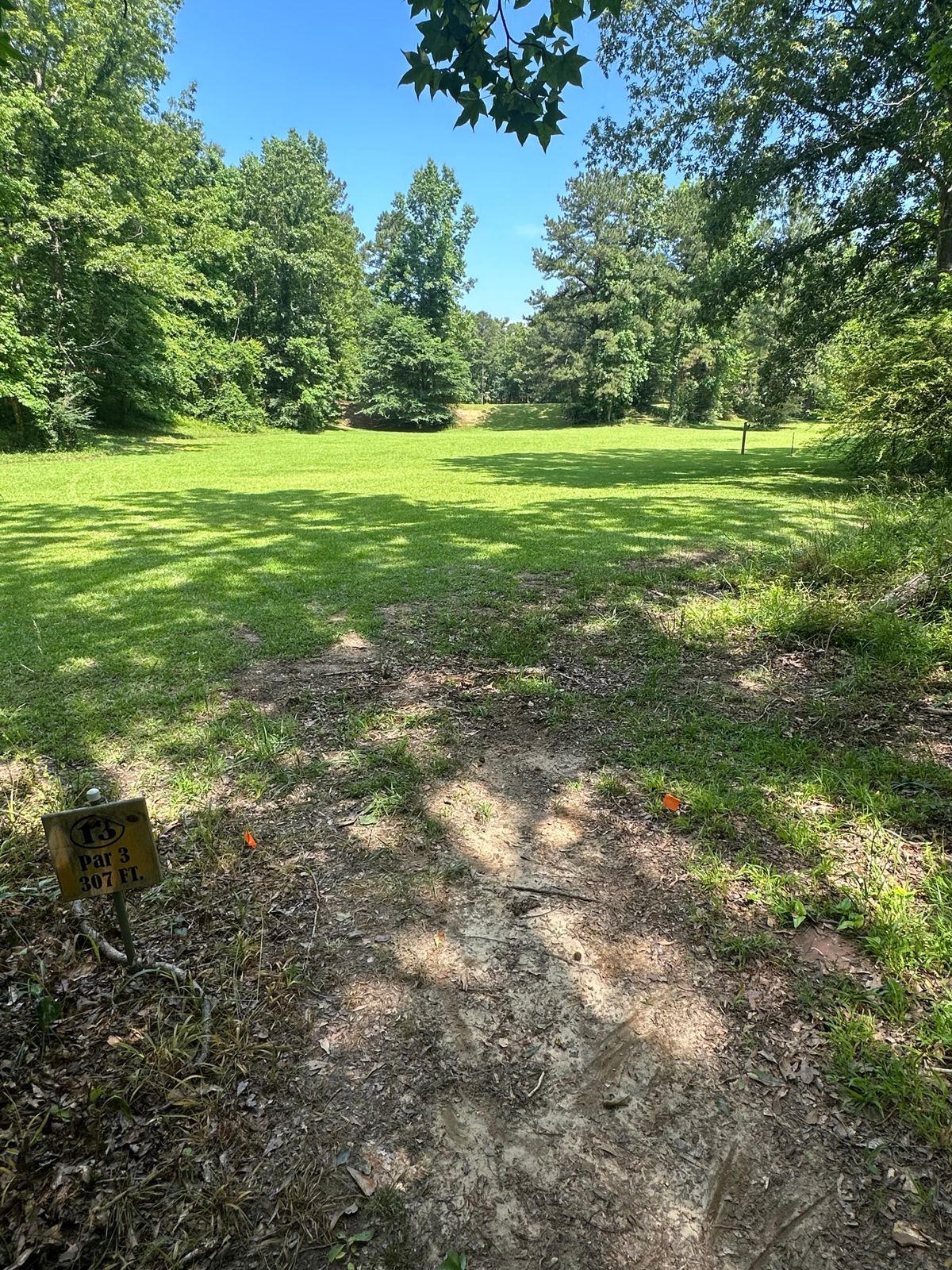 Hole 13 long tee