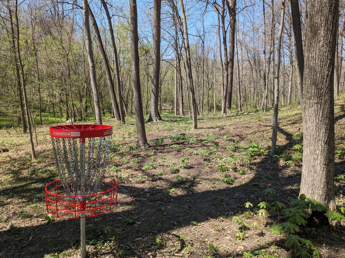 #3 from behind Basket