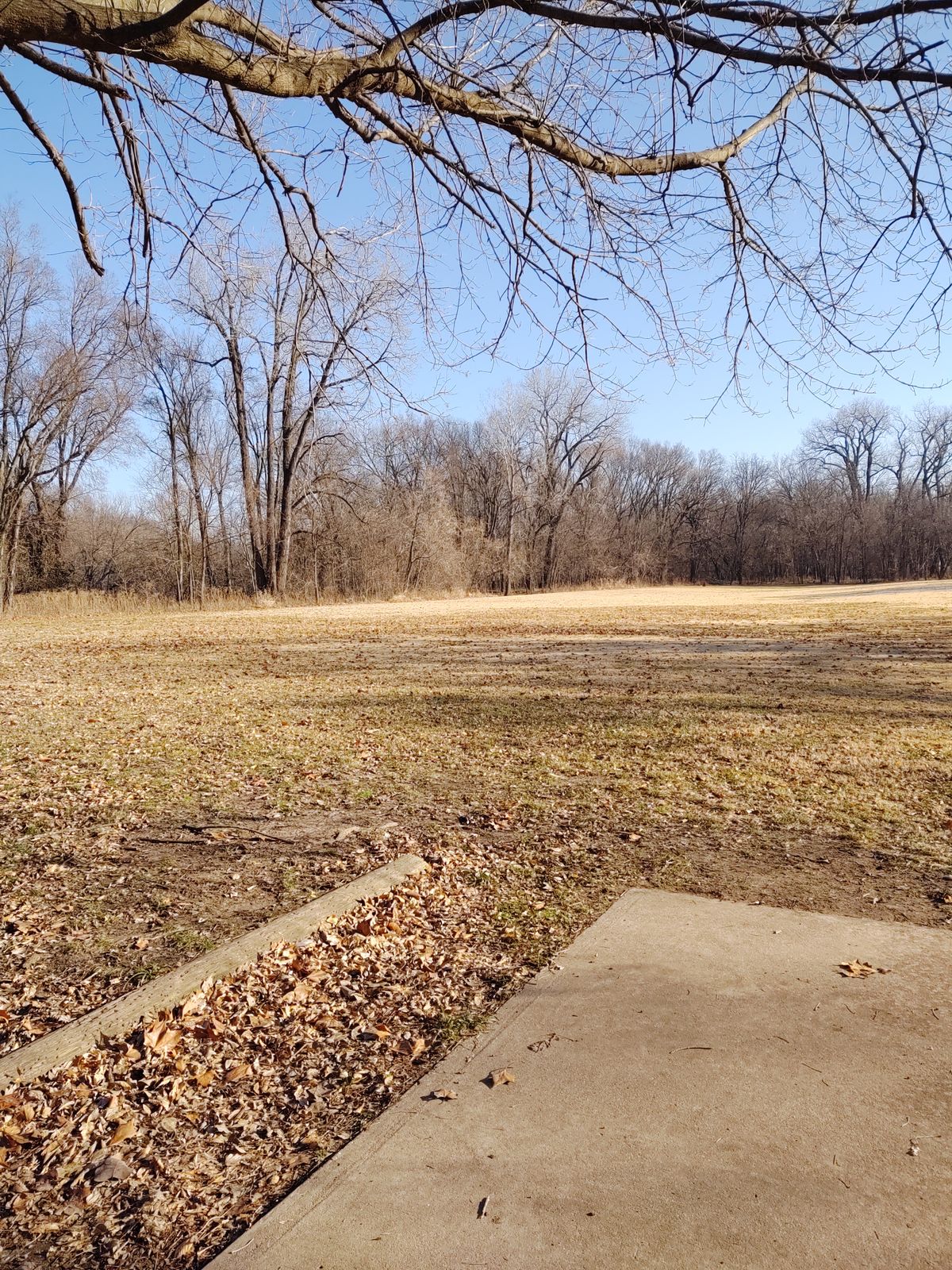 Hole 3 tee