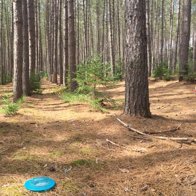 Amazing course, get out there and try it!