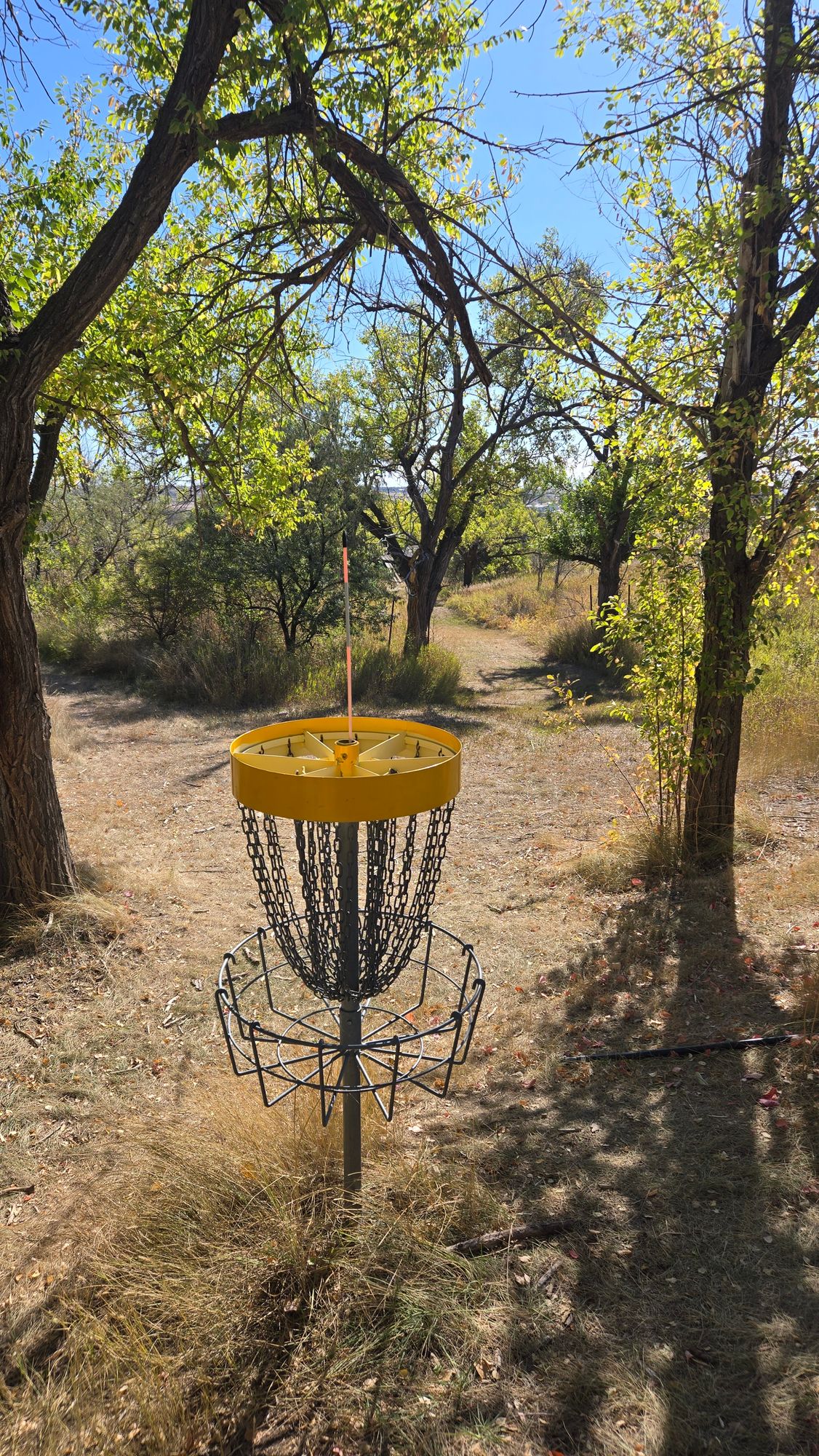 Hole 4